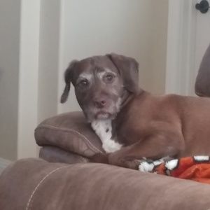 Meet your Posher, William